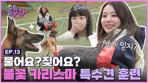 The biggest cowards ever?! Sakura and Eunchae try training special dogs🐶🔥