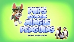 Pups Save the Jungle Penguins