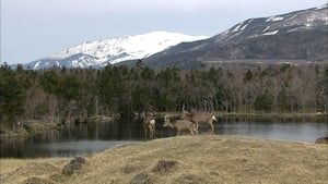 Early Spring on the Shiretoko Peninsula