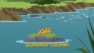 Salamander Streaming