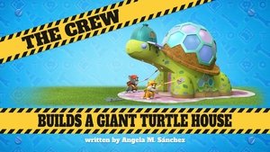 The Crew Builds a Giant Turtle House