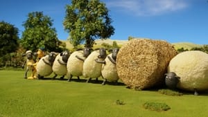 Hay Bale