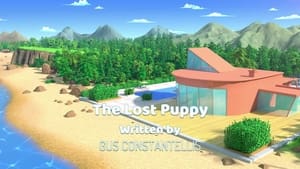 The Lost Puppy