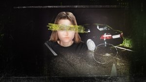 The Phantom of Friesland