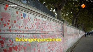 De belangenpandemie
