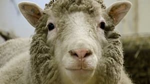 Dolly: The Sheep That Changed the World