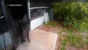 Roommate Disturbance