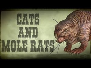 Cats and Mole Rats