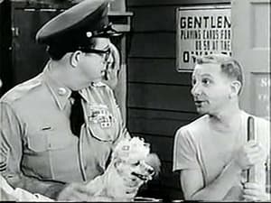 Bilko's Prize Poodle