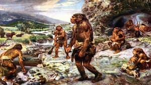 Neanderthal, un dramma di 35 mila anni fa