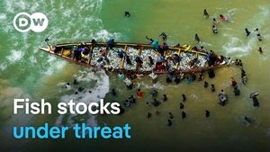 Raid on the Atlantic - Overfishing and exploitation of the sea