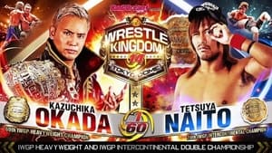 Wrestle Kingdom 14 - Day 2