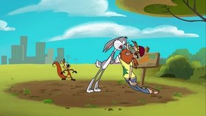 Bunny Man