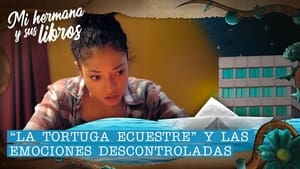 La tortuga ecuestre y las emociones descontroladas