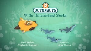 The Hammerhead Sharks