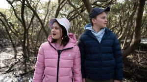 Marvellous Mangroves