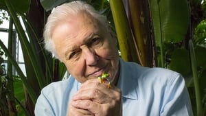 Attenborough's Fabulous Frogs