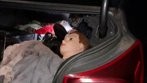 Officer Needs Assistance