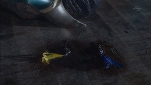 Episode 9