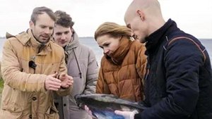 Fisk har også følelser – fat det!