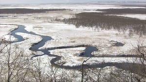 Kushiro Wetland in Harsh Winter