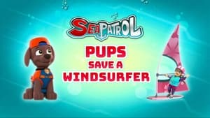 Sea Patrol: Pups Save a Windsurfer