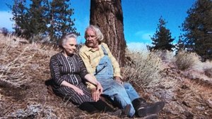 The Empty Nest