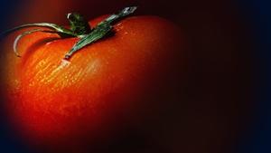 What's on Your Supermarket Shelves? The Dark Side of the Tomato Trade