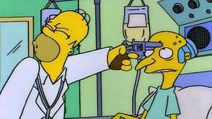 Who Shot Mr. Burns? (2)