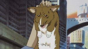 Stray Dog Strut