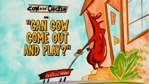 Can Cow Come Out and Play?