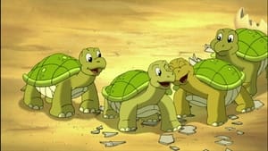 The Little Tortoises