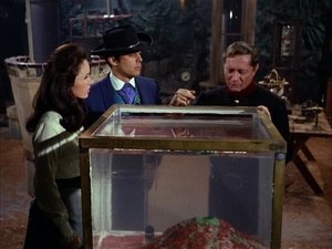 The Night of the Deadly Bubble