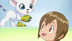 Gatomon Comes Calling