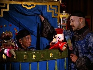 The Night of the Pelican