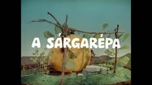 A sárgarépa