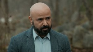 Episode 17