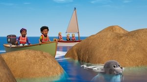 Seal Watch