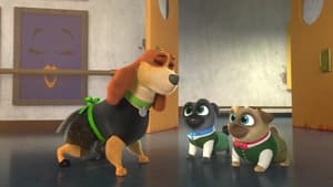 Pups of the Dance