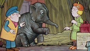 The Invalid