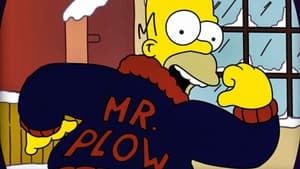 Mr. Plow