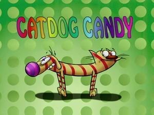 CatDog Candy