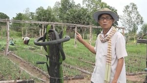 Growing Prosperity with Organic Farming - Cambodia