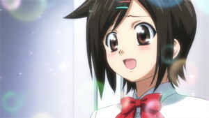 The Ladies Flap Their Wings in the Morning Forte