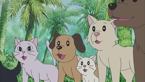 Episode 240