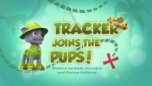 Tracker Joins the Pups!