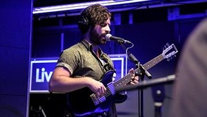 Foals