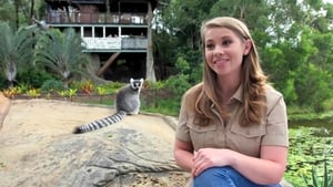 Bindi's Lemur Island