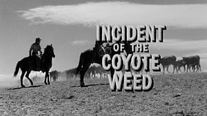 Incident of the Coyote Weed