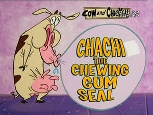 Chachi, the Chewing Gum Seal